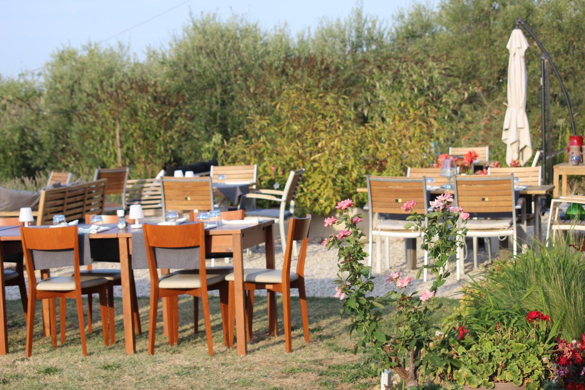 Gastronomic B&B Carlocarla Monte San Pietrangeli ภายนอก รูปภาพ